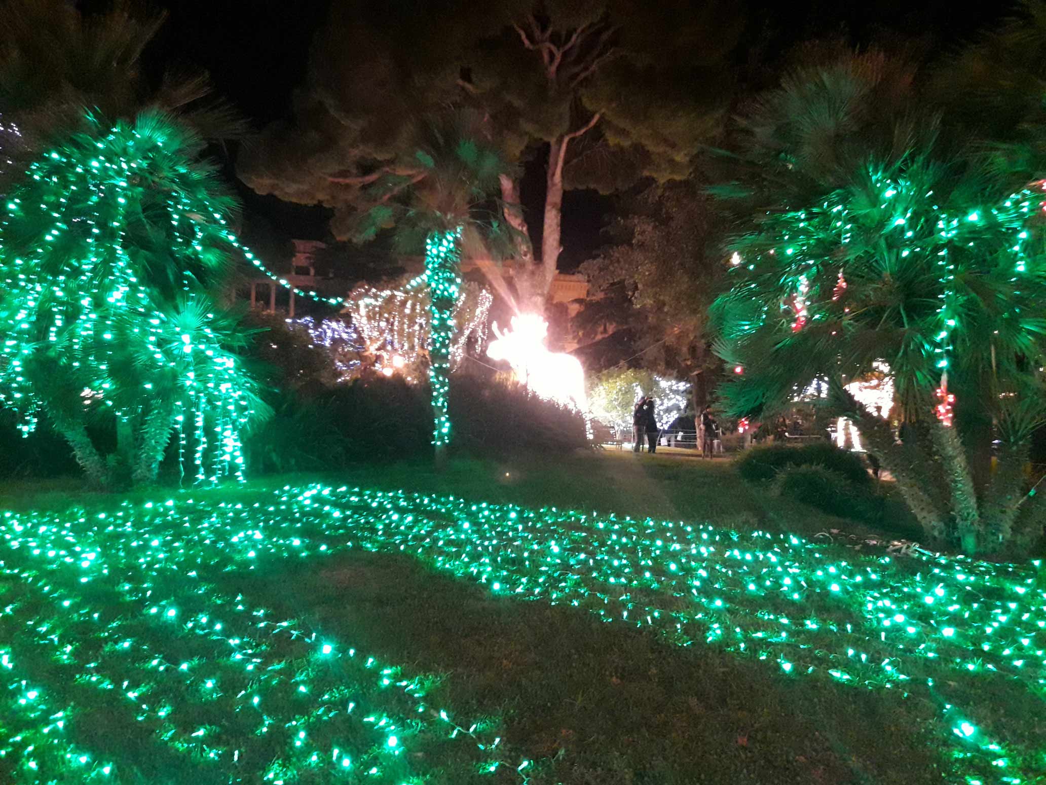 Solo Auto Salerno 2017